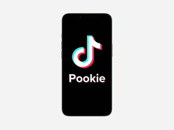 What does pookie mean 2