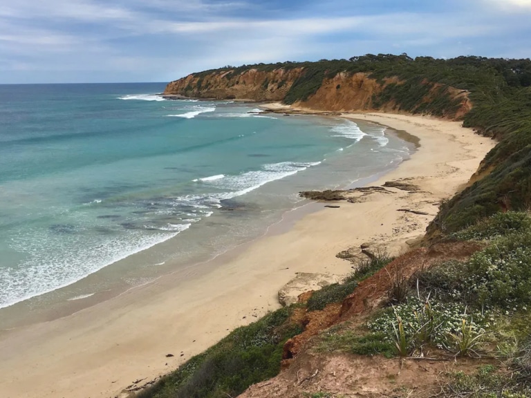 Best Beaches In Melbourne For Surfing And Swimming Man Of Many