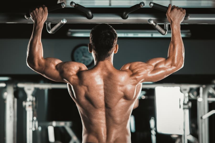 Back of a man doing pullups