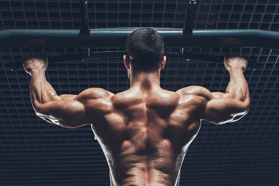 Back of a bodybuilder