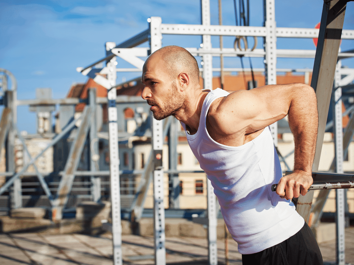 seated Incline Chest Press  The Great Outdoor Gym Company