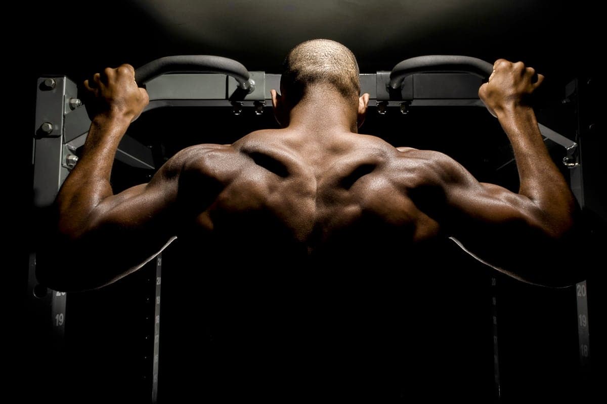 Best pull up bars for home
