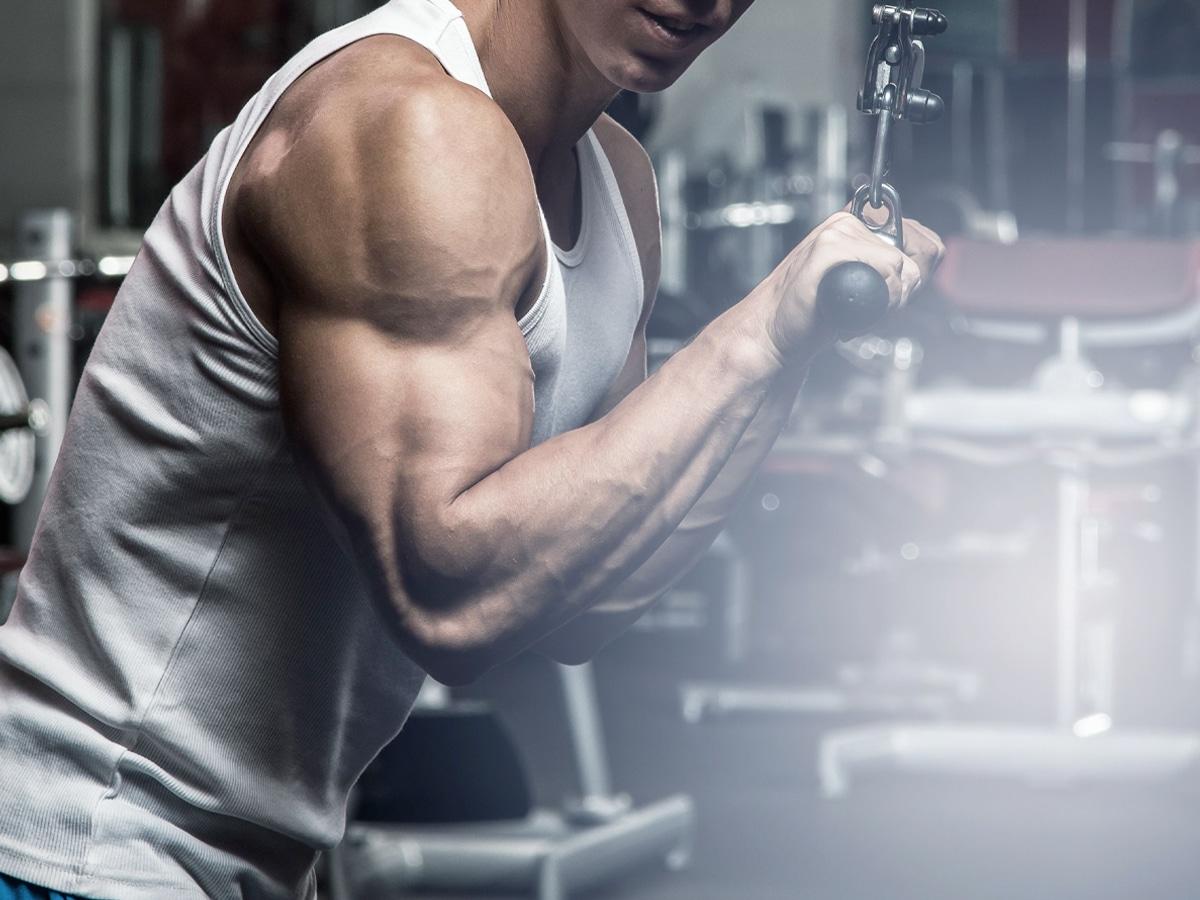 5 best dumbbell-only triceps workouts to build bulky arms