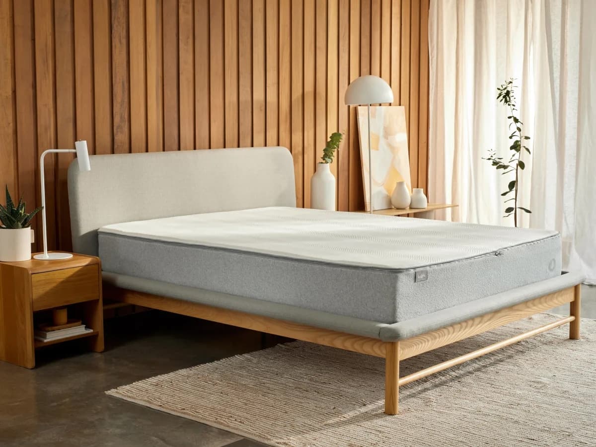 New koala mattress