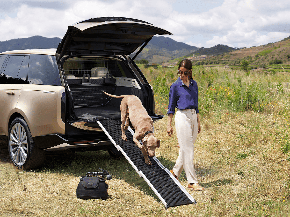 Range rover dog ramp