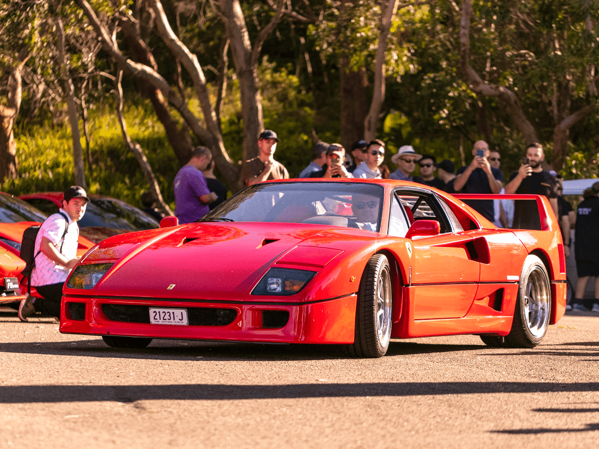Vaucluse car club