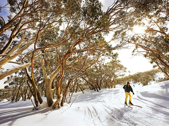 Best places to see snow near melbourne
