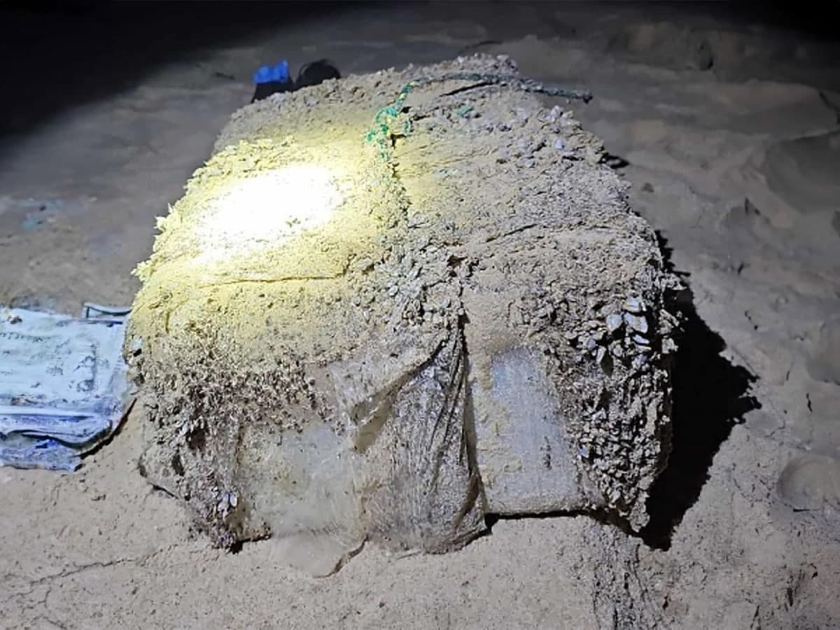 Cocaine on sydney beaches