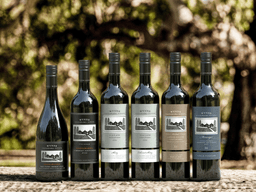 Treasury wine estate wynns 1