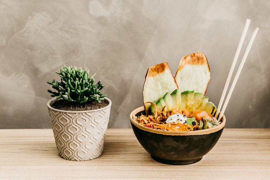 Poke Bowl with succulent