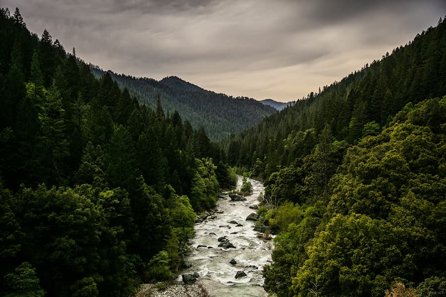 North Yuba River Near Downieville