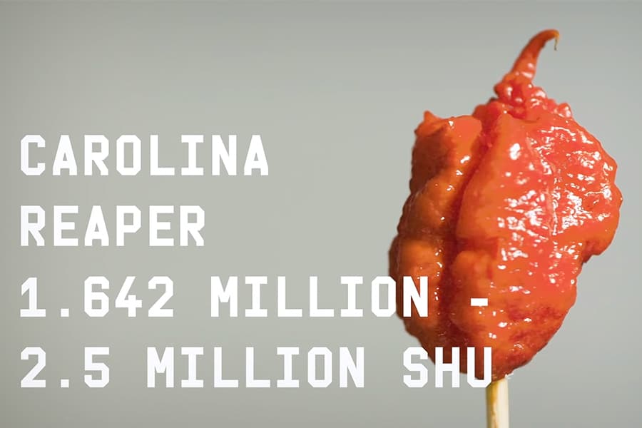 How This Guy Made the World's Hottest Peppers
