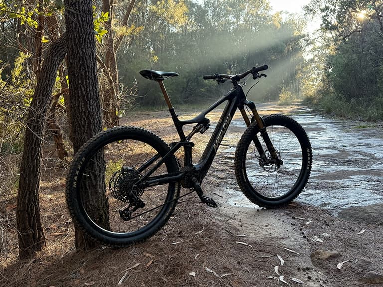 Amflow pl carbon pro rear