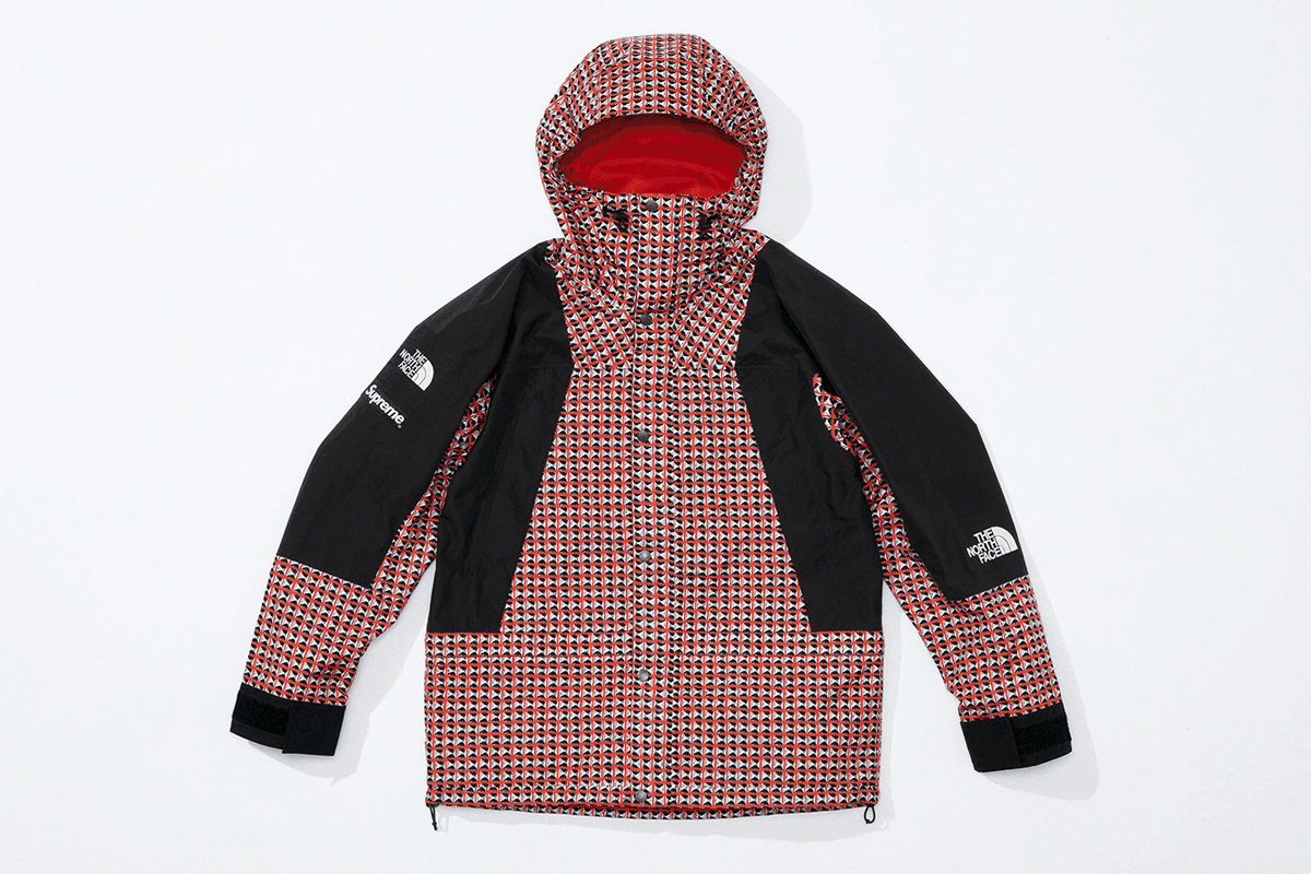 Supreme x the north face mountain light jacket