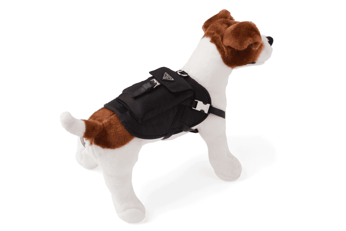 Prada dog harness