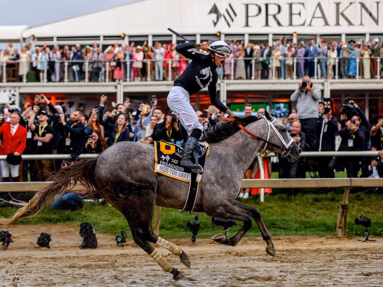 A jockey in MyRacehorse silks rises in the irons as the grey colt Seize the Grey crosses the line in front of the Preakness 149 grandstand.
