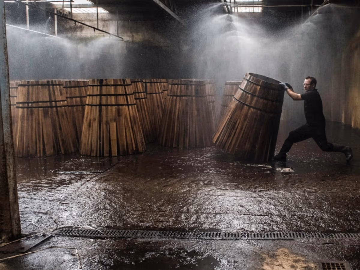 The macallan casks