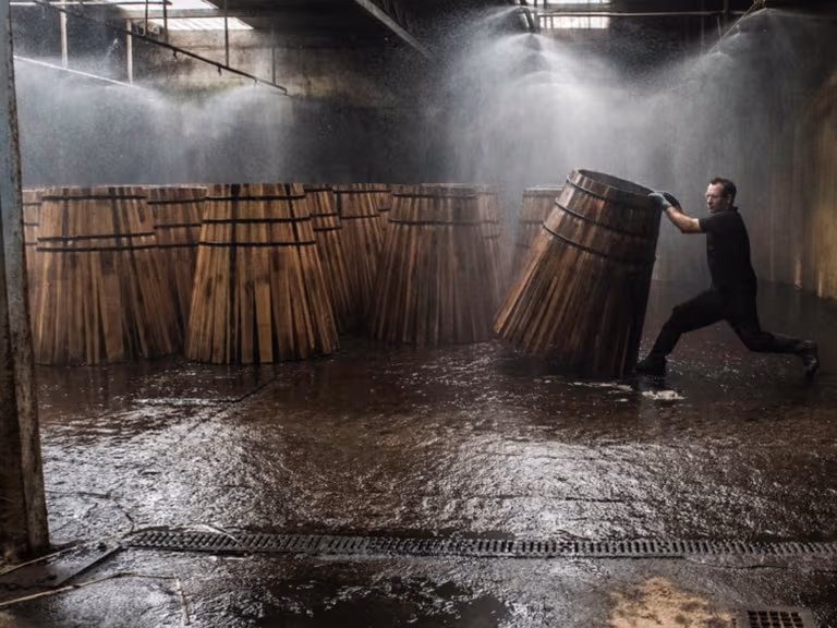The macallan casks