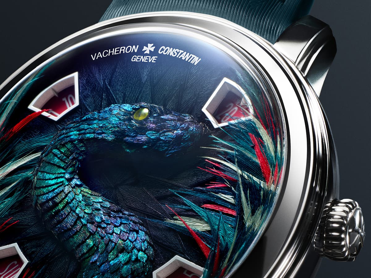 Vacheron feathersnake