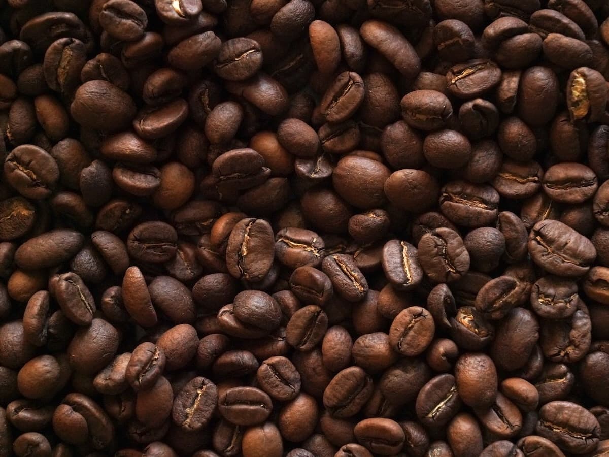 Coffee beans processing dupe