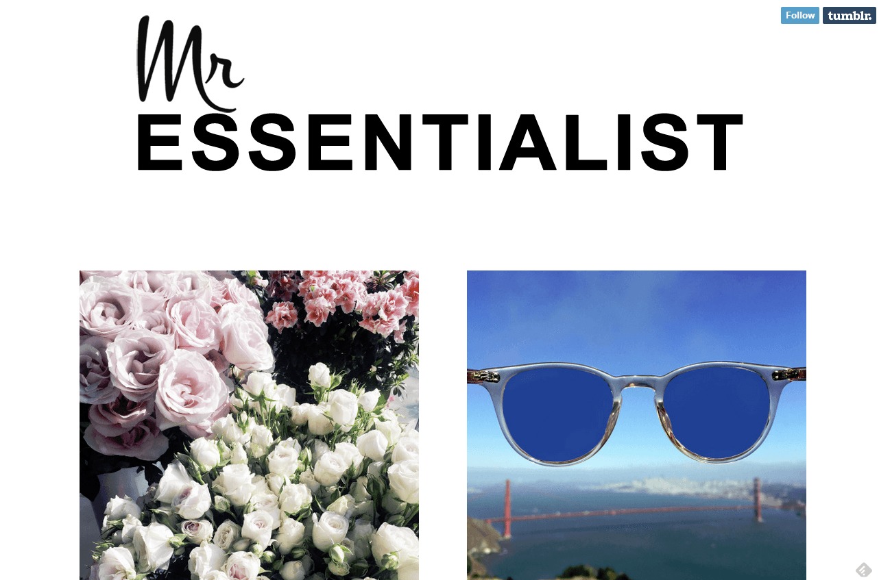 mr essentialist