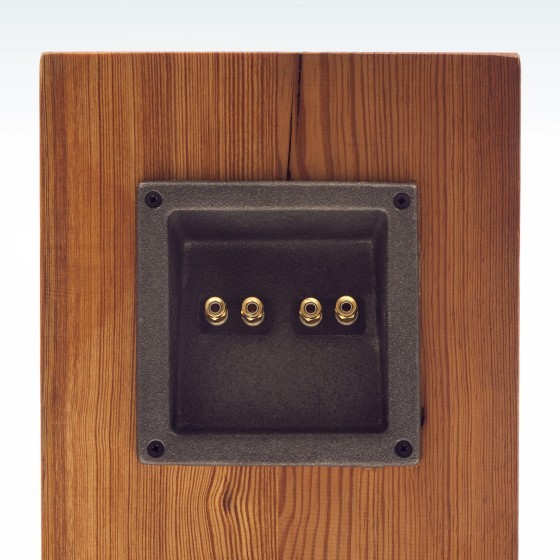 fern and roby beam speaker back side