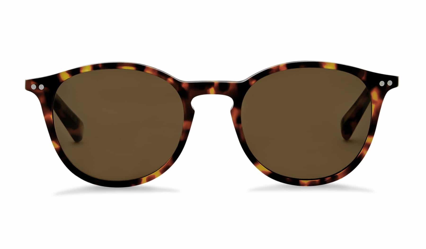 bailey nelson markova fiery hawksbill sunglasses