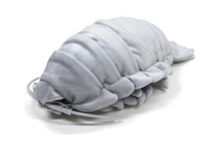 isopod plush toy