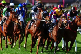 2016 melbourne cup carnival