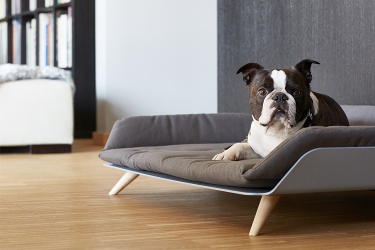 The Letto Daybed Is Designer Furniture For Your Dog Man Of Many The Letto Daybed Is Designer Furniture For Your Dog
