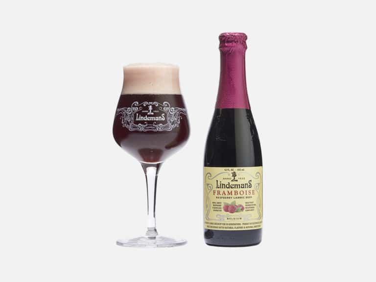 Most Popular Types of Beer Explained: A Complete Guide | Man of Many