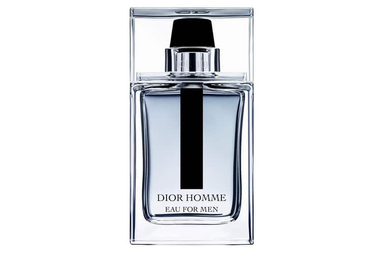 dior homme parfum parfumo