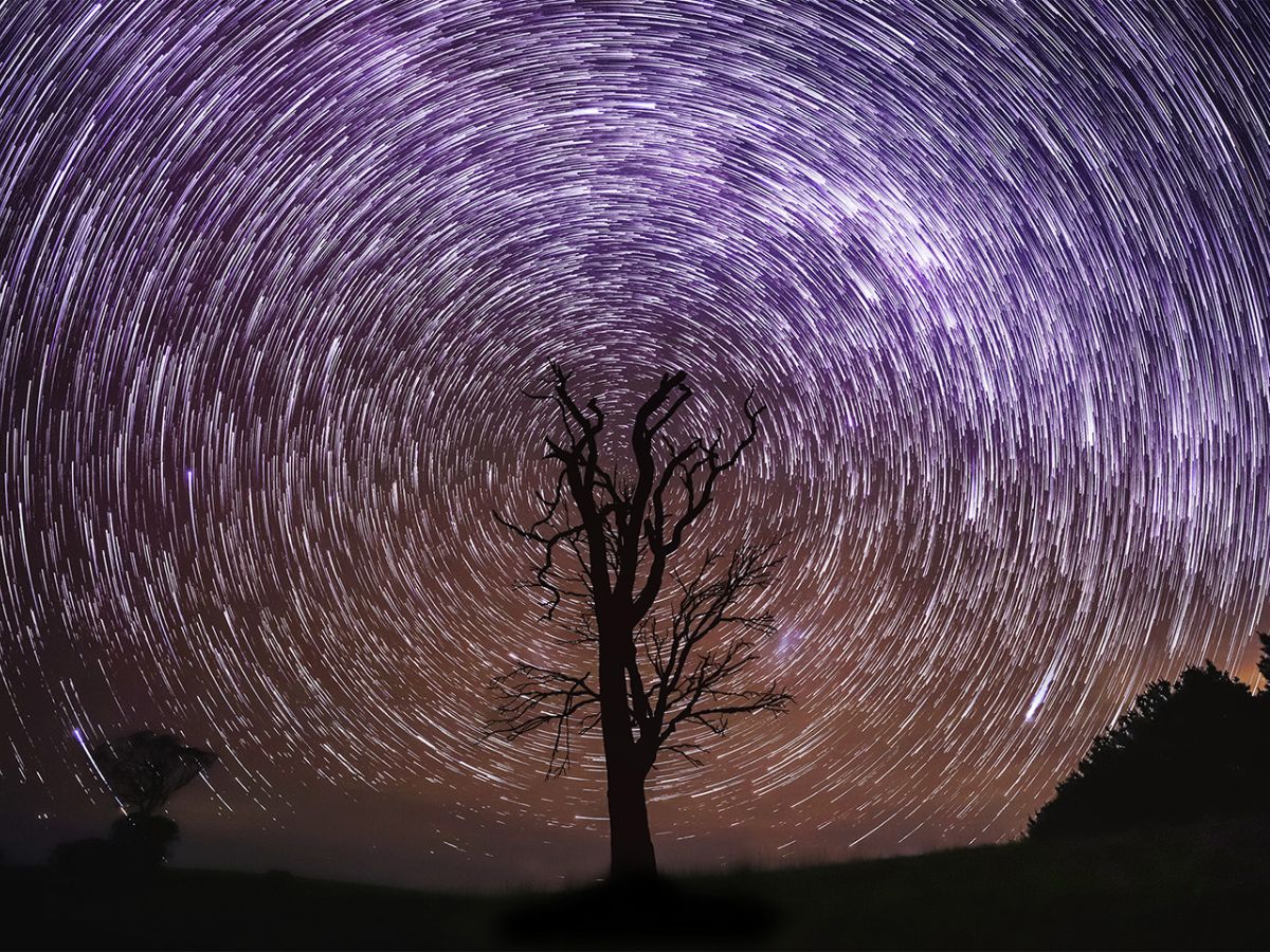 Long exposure photo of tree and night sky