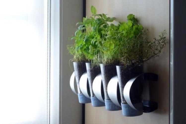 turn a wine rack into an indoor herb garden