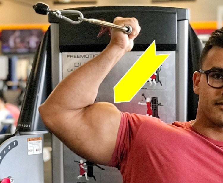 get the most out of the biceps