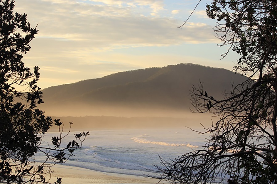 crowdy bay national park featuring panoramic views