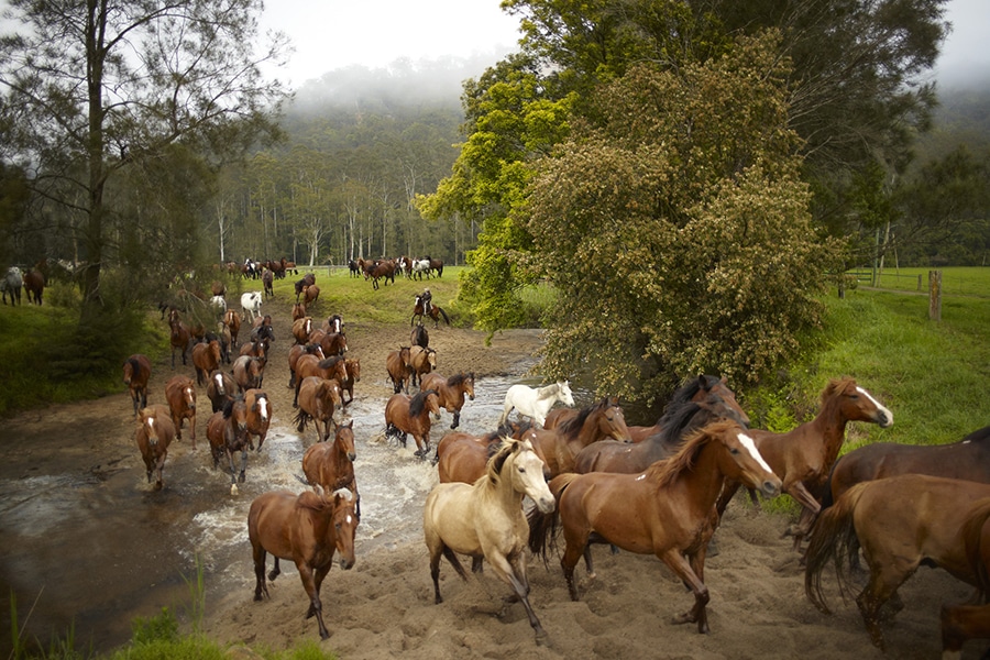 glenworth valley horse riding