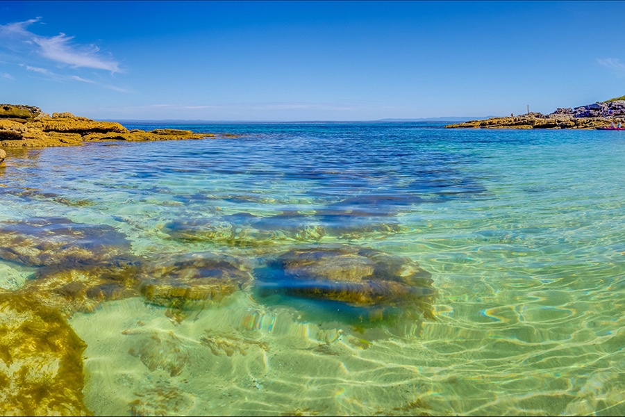 honeymoon bay beach camping spots nsw