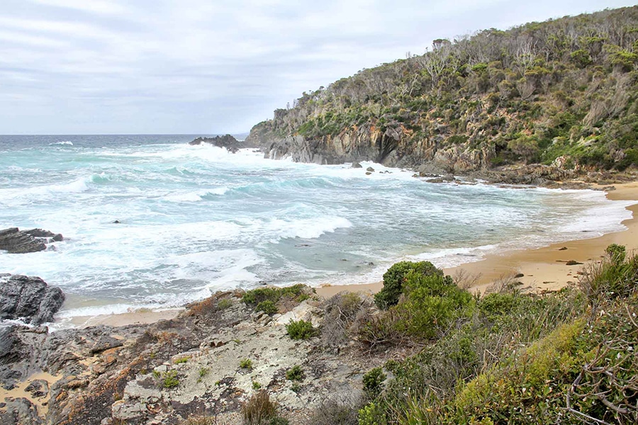 mimosa rocks national park images