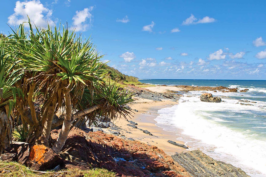 yuraygir national park view