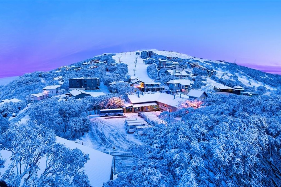 australian mt buller