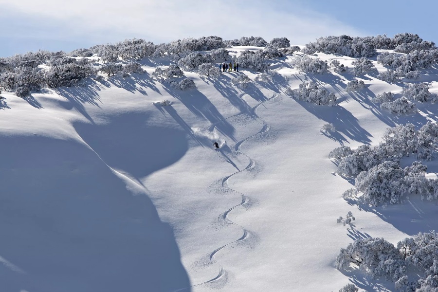 australian mt hotham