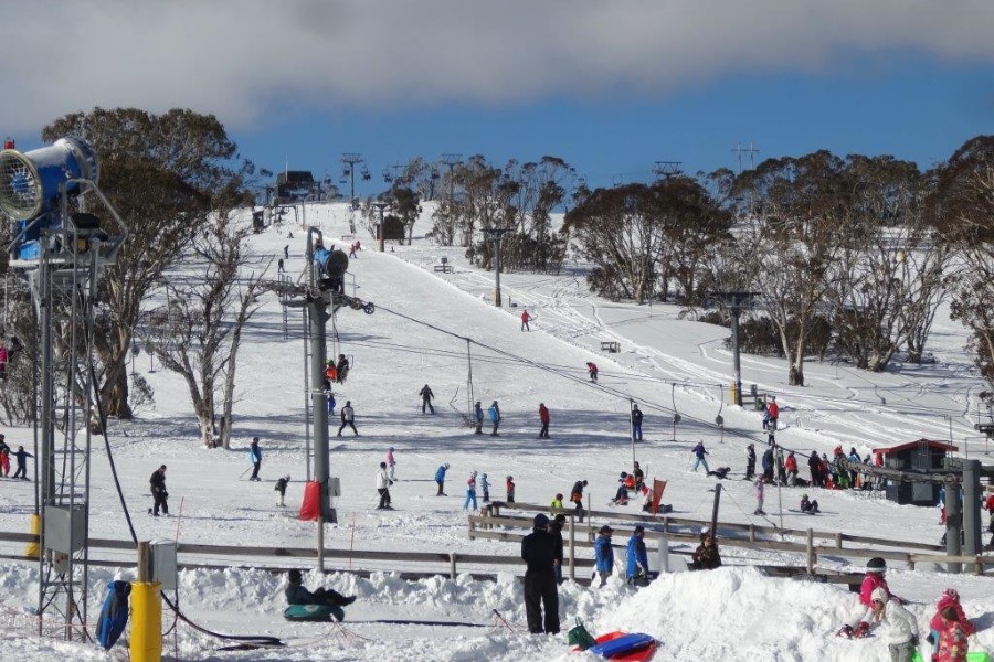 australian selwyn snowfields