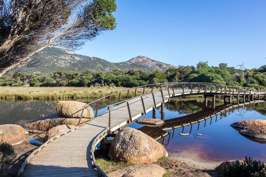 foot bridge over river in national park