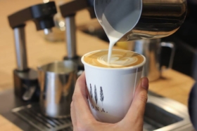10 best specialty coffee in sydney