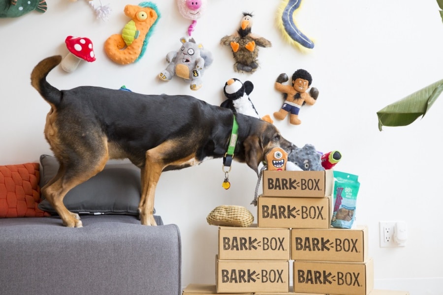 barkbox subscription