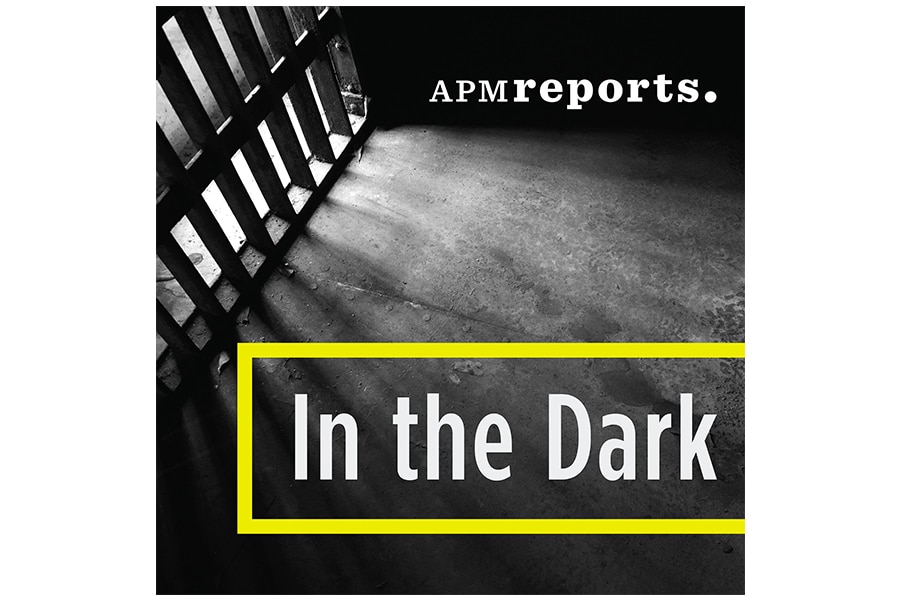 in the dark podcast cover