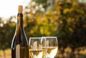 12 best australian white wines