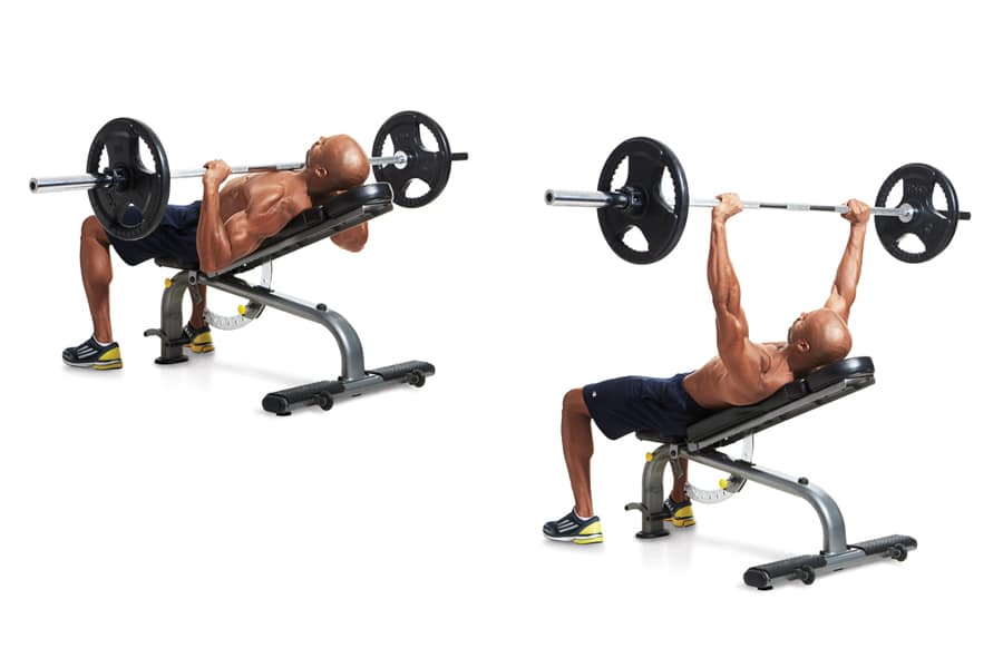 Chest Dumbbell And Barbell Workout