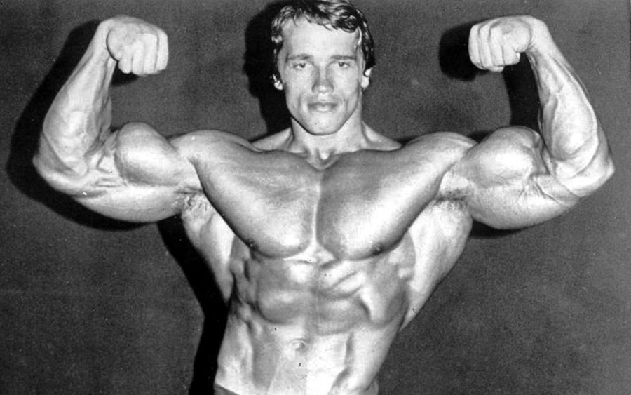 Arnold Schwarzenegger s Diet And Workout Plan Man Of Many